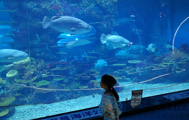 海洋館