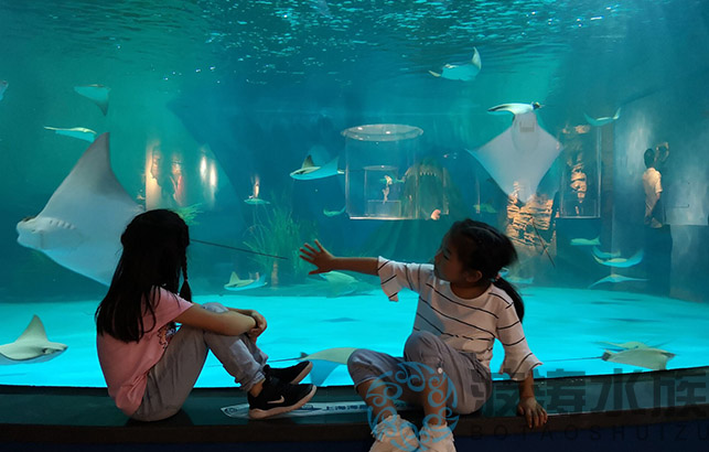 海洋館